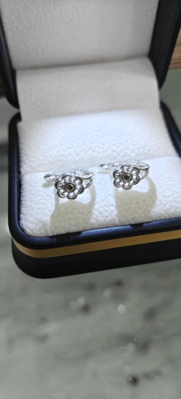 مناڤش بنوتات فضة