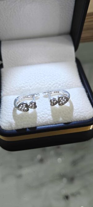 مناڤش بنوتات فضة