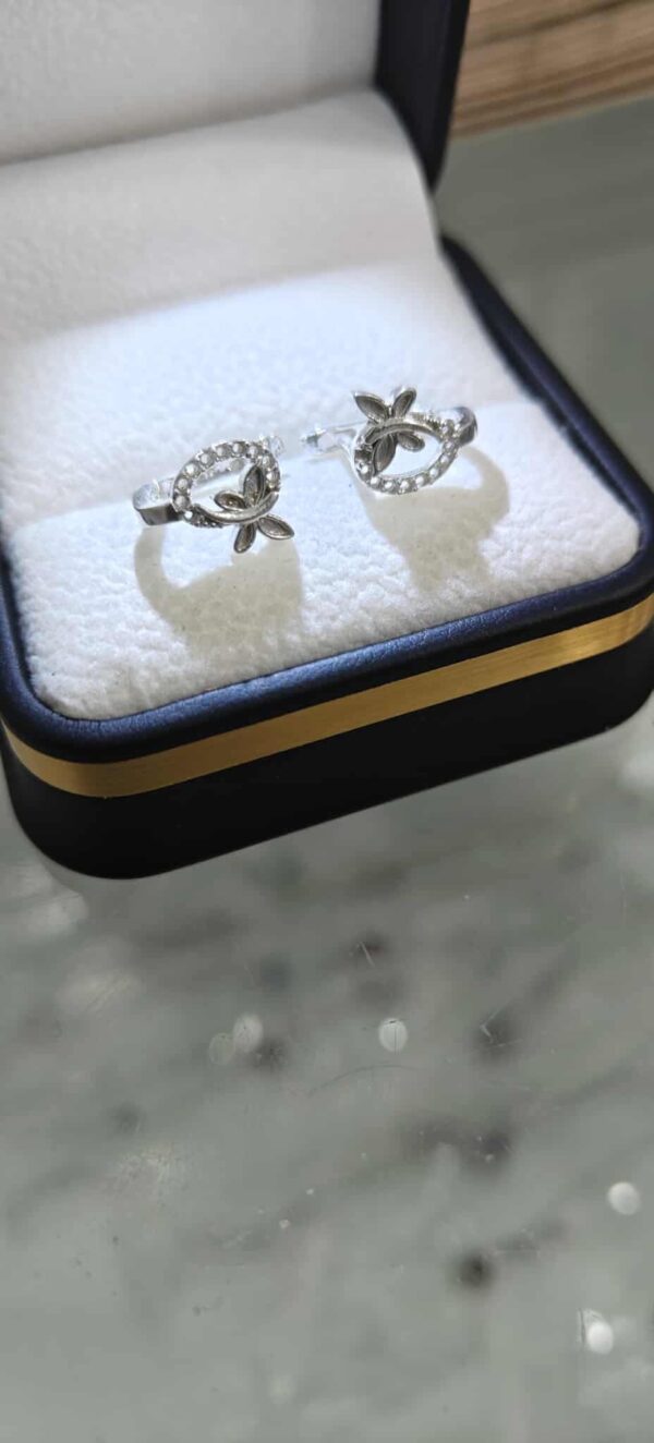 مناڤش بنوتات فضة