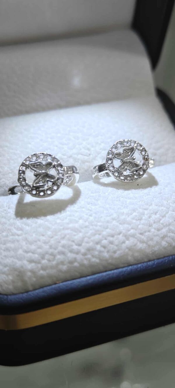 مناڤش بنوتات فضة