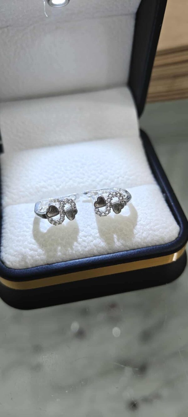 مناڤش بنوتات فضة