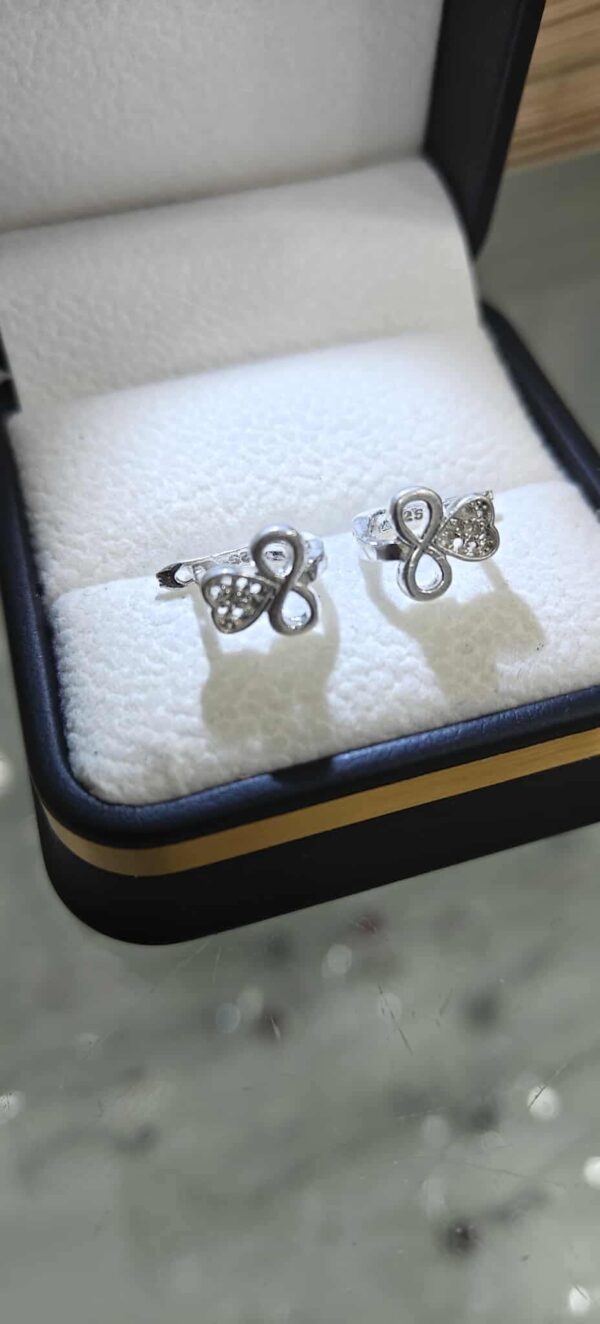 مناڤش بنوتات فضة