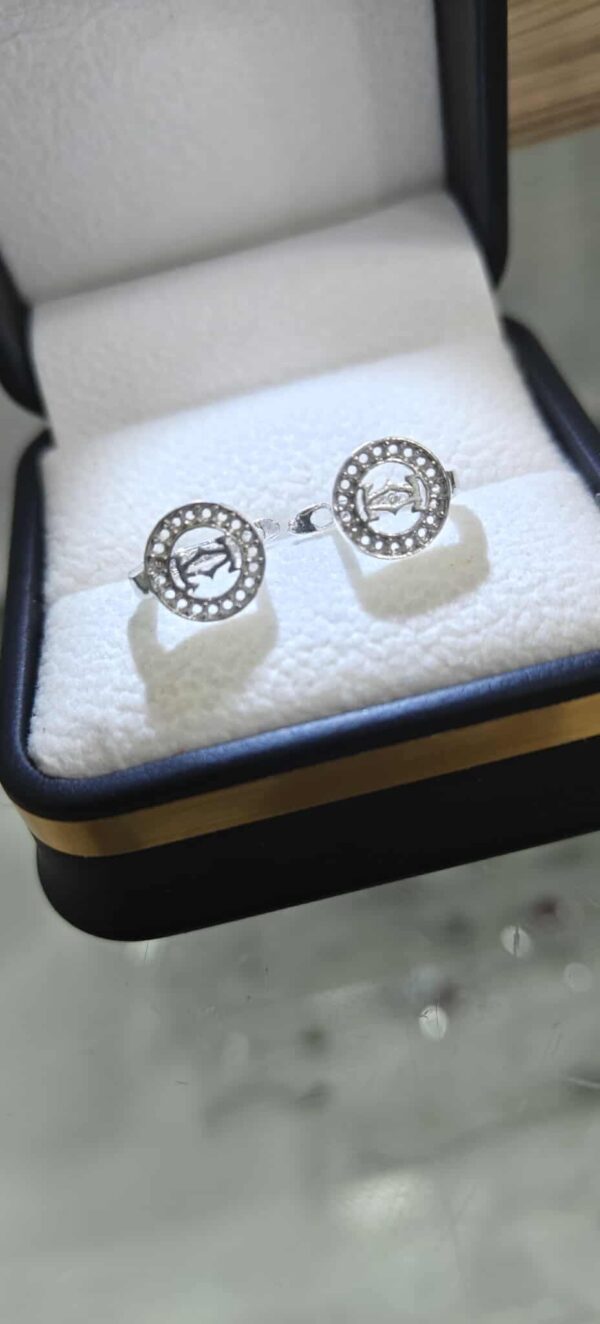 مناڤش بنوتات فضة