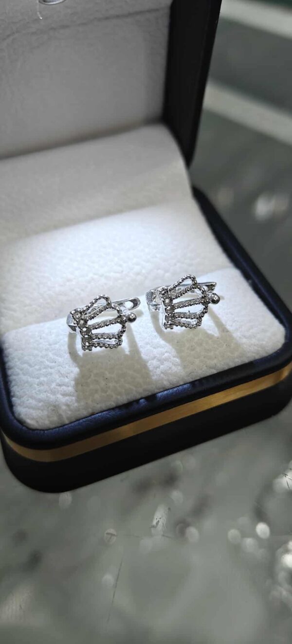 مناڤش بنوتات فضة