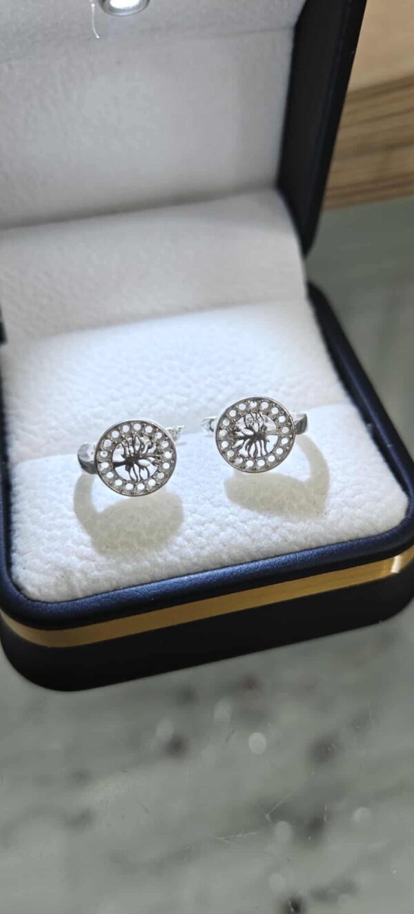 مناڤش بنوتات فضة