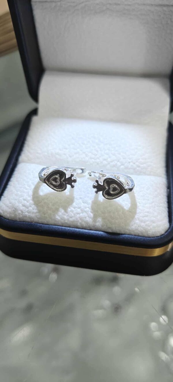 مناڤش بنوتات فضة