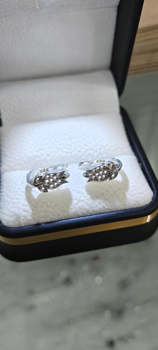 مناڤش بنوتات فضة