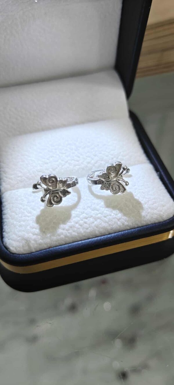 مناڤش بنوتات فضة